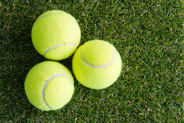 istock Tennis ball on the lawn 490218216