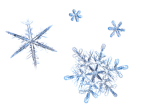 The photo of snowflakes on a white background closeup
