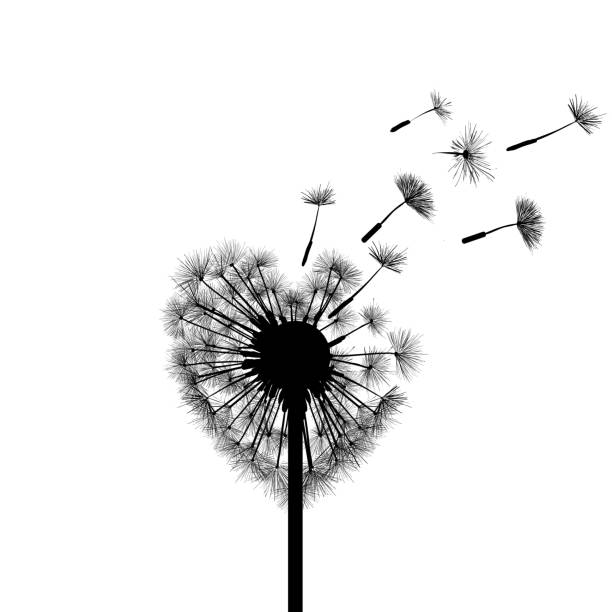 silhouette löwenzahn - dandelion freedom silhouette wind stock-grafiken, -clipart, -cartoons und -symbole