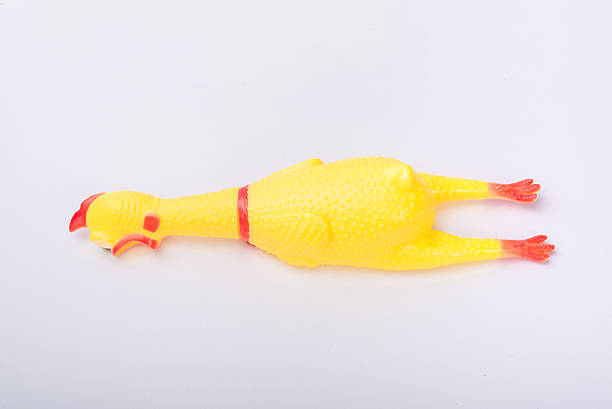 istock toy rubber chicken on white background 490224274