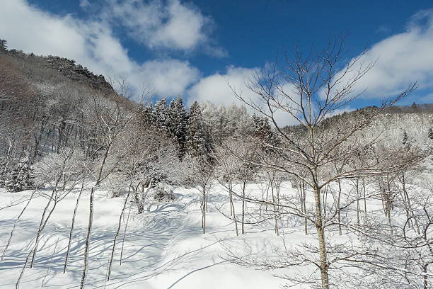 istock Snow country in central Japan. 490224720
