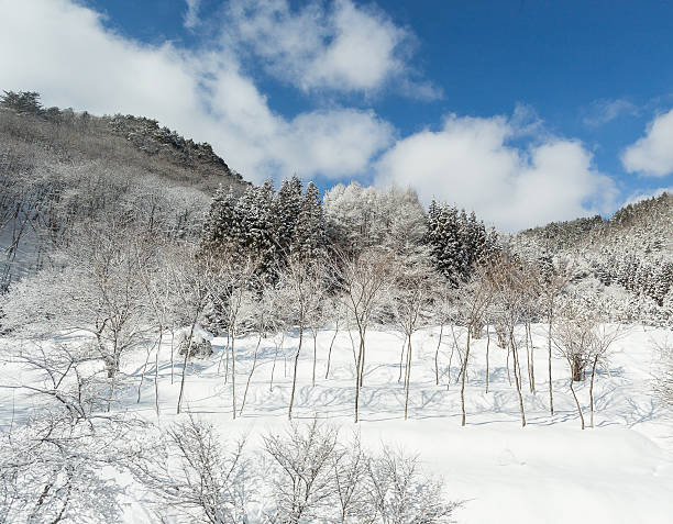 istock Snow country in central Japan. 490225110