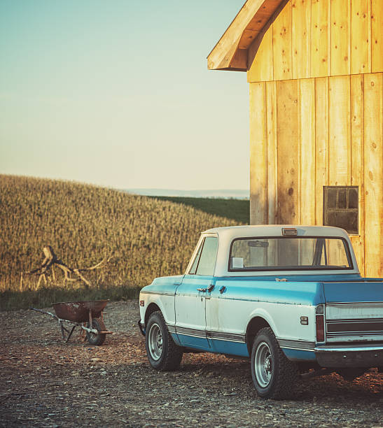 A vintage pickup truck parked outside a large barn with a vast cornfield in the background.  Mild cross processing.