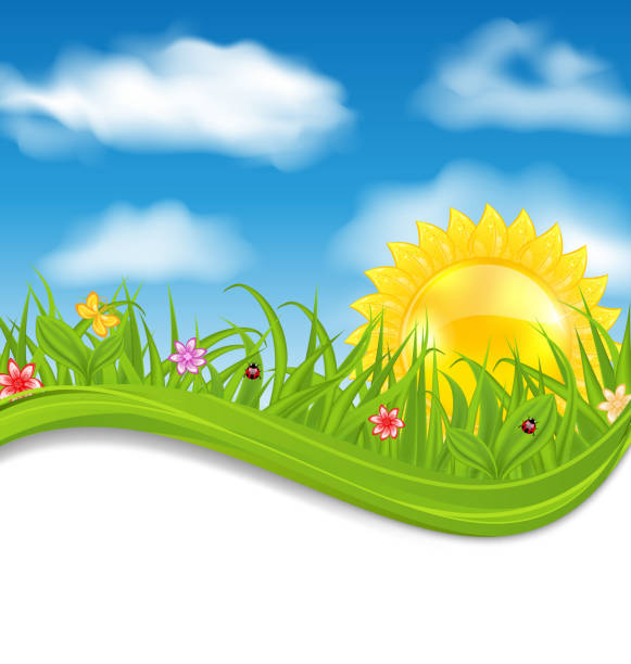 illustrazioni stock, clip art, cartoni animati e icone di tendenza di estate carta con cielo, sole, nuvole, erba, fiori, farfalle, lady - butterfly flower single flower grass