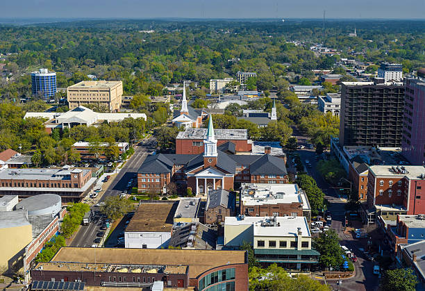 istock Tallahassee, Florida - Aerial View 490225680