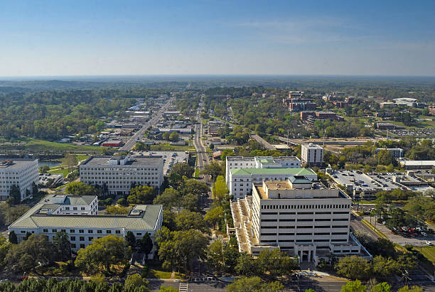 istock Tallahassee, Florida - Aerial View 490225818