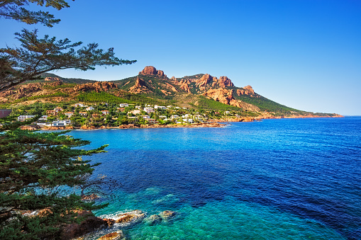 Esterel rocks playa Costa, árbol y al mar. Cannes Saint Raphaël Colorado photo