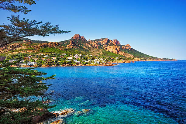 Esterel rocks beach coast, tree, sea. Cannes Saint Raphael Co