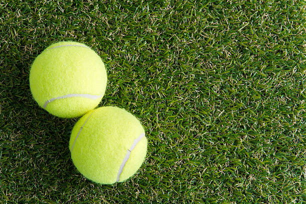 istock Tennis ball on the lawn 490239876