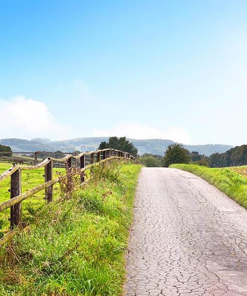 Idyllic country road in the sun, with copy space and forest. Single lane road through fields and pastures, nature background. Wooden fence along the street.