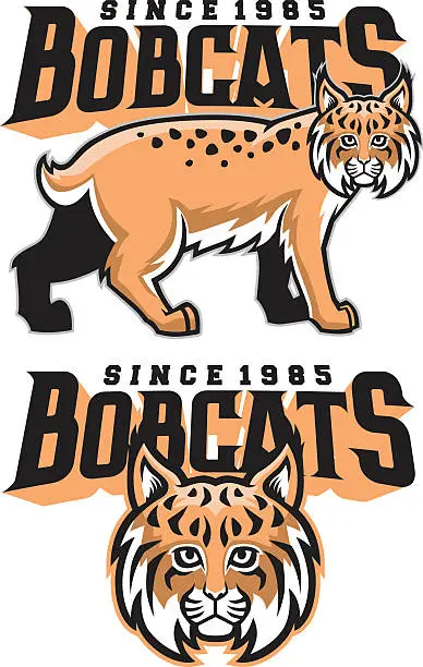Vector illustration of bobcat mascot