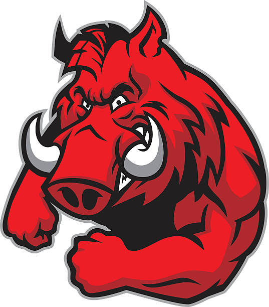 razorback maskotka - świnia domowa stock illustrations