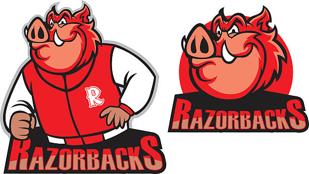 Editable Razorback Hog 270+ Razorback Hog Stock Photos, Pictures & Royalty-Free Images - iStock