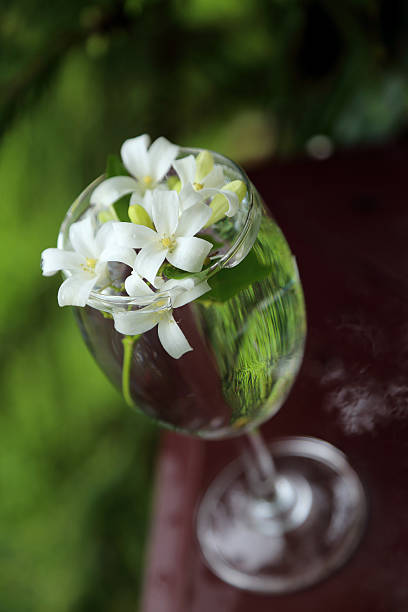 istock Little white flowers, Orange Jessamine, in glass vase. 490242564