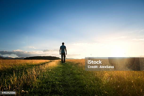 Photo libre de droit de Homme Qui Marche Seul Sur Une Prairie Verdoyante Au Coucher Du Soleil banque d'images et plus d'images libres de droit de Marcher