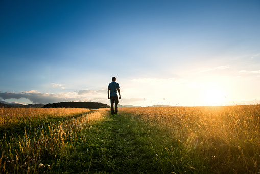 Lonely man walking along a trail through a green meadow at sunset