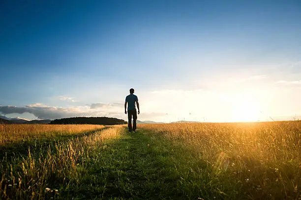Photo of Man walking alone on a green meadow at sunset