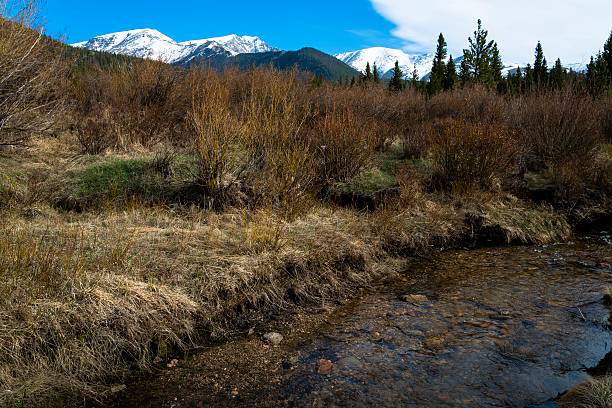 istock Rocky Mountain National Park in Summer 490243100