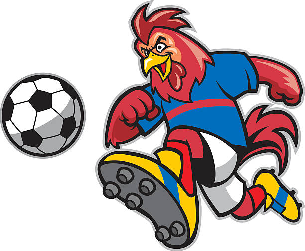 maskotka rooster soccer - chicken strip stock illustrations