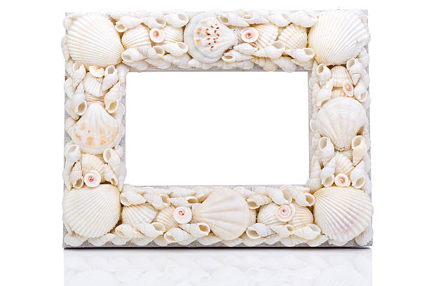 Photo frame with seashells isolated on white background