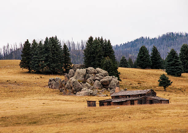 Cabin in Valles Caldera National Preserve in New Mexico In this view, a distant cabin can be seen within the Valles Caldera National Preserve. The area was once part of a Spanish land grant involving the historic 89,000-acre Baca Ranch in northern New Mexico near Los Alamos. This pristine land was formed from a huge super volcano (caldera), where a series of massive eruptions took place eons ago. The area is also distinguished by vast meadows, volcanic domes, and hot springs. In 2015, management of this unique federal preserve was being transferred to the National Park Service. In recent years, Hollywood has used this public site for movie making and for filming the television series Longmire. albuquerque volcanoes stock pictures, royalty-free photos & images