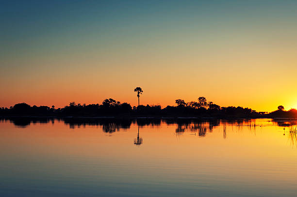 istock Sunset over the Okavango Delta, Xigera Concession,Botswana 490247954