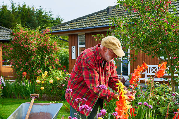 istock House and garden 490248566