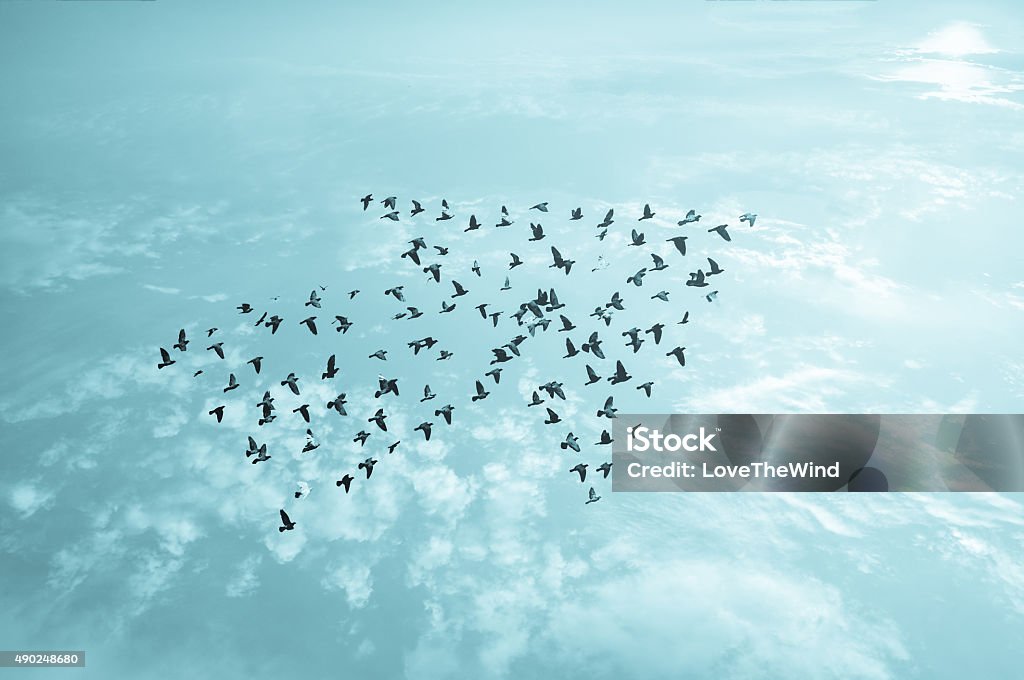 Vögel am Himmel, Wachstum und Weiterentwicklung Konzept - Lizenzfrei Führungstalent Stock-Foto