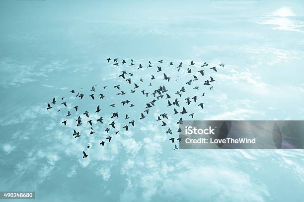 Vögel Am Himmel Wachstum Und Weiterentwicklung Konzept Stockfoto und mehr Bilder von Führungstalent