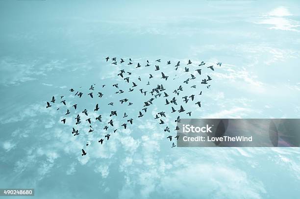 Photo libre de droit de Oiseaux Dans Le Ciel Concept De Croissance Et Développement banque d'images et plus d'images libres de droit de Leadership