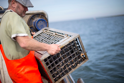 A happy fisherman lifts his lobster crate up over the side of his boat after catching lobsters. He is wearing orange overalls to protect his clothes.