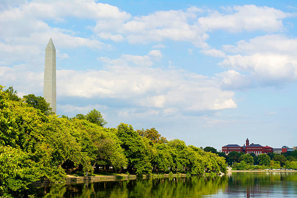 istock Washington Monument from The Martin Luther King Memorial 490252824