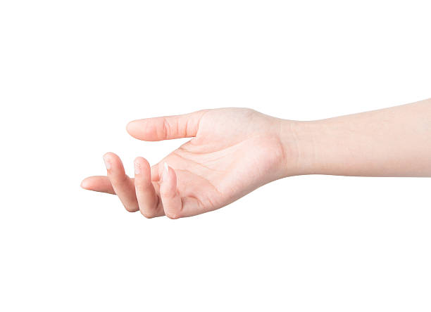 istock Empty open woman hand on white background 490262161