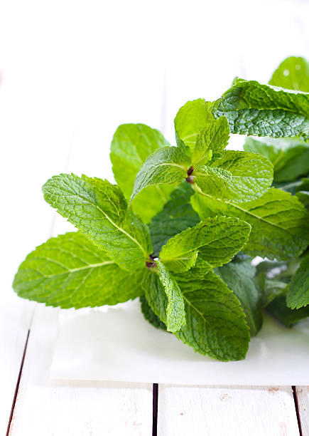 istock Bunch of mint leaves, 490262457