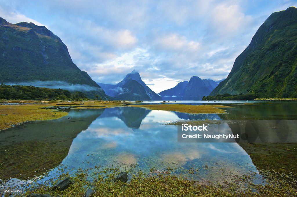 landscape of high mountain glacier at milford sound, New Zealand Backgrounds Stock Photo