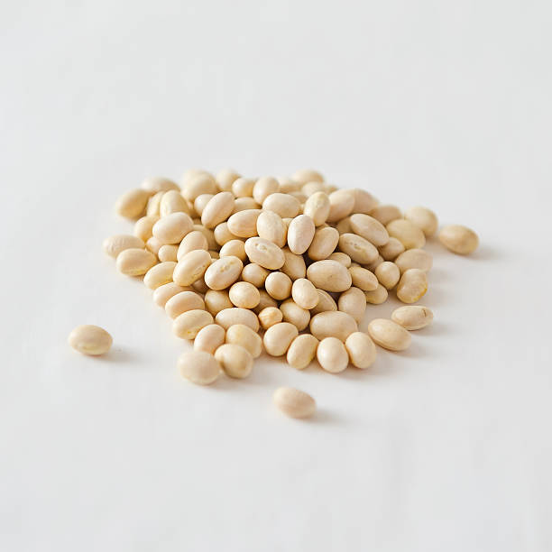 Dried White Beans stock photo