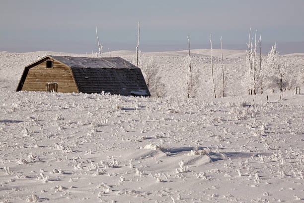 istock Frosty Country Day 490263725