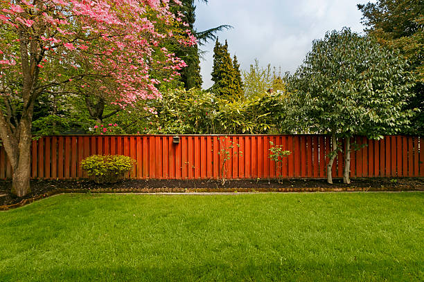 clos yard - garden fence photos et images de collection