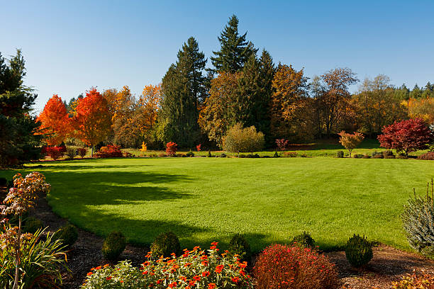 Expansive Lawn Beautiful, large lawn. fall lawn stock pictures, royalty-free photos & images
