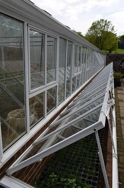 istock Large garden greenhouse. 490265297