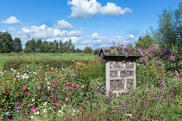 Photo of Dutch national park with insects hotel in colorful garden