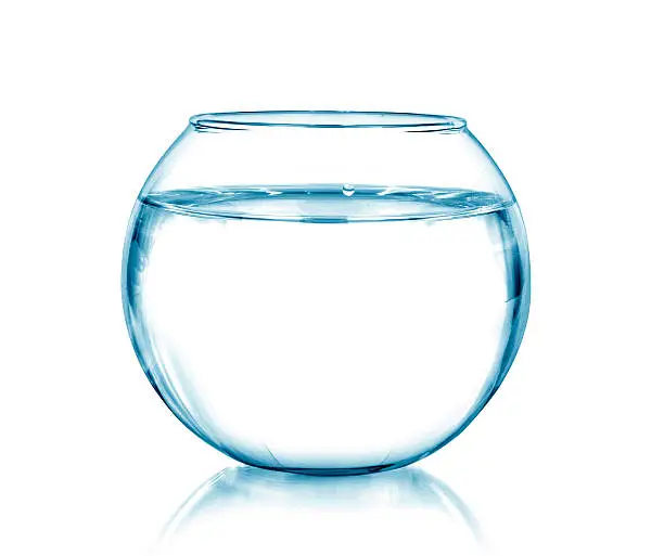 A fish bowl, isolated on white