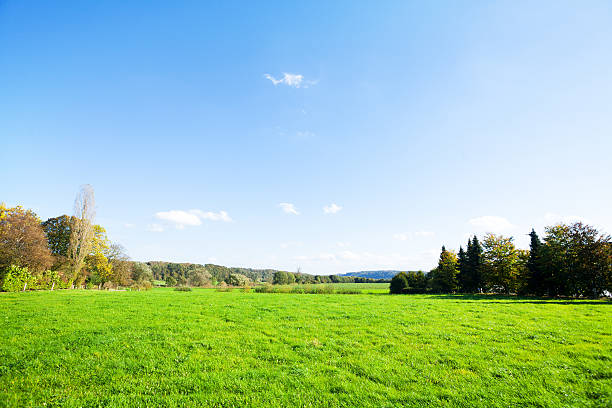 istock Valley Ruhr in autumn sunshine 490275728