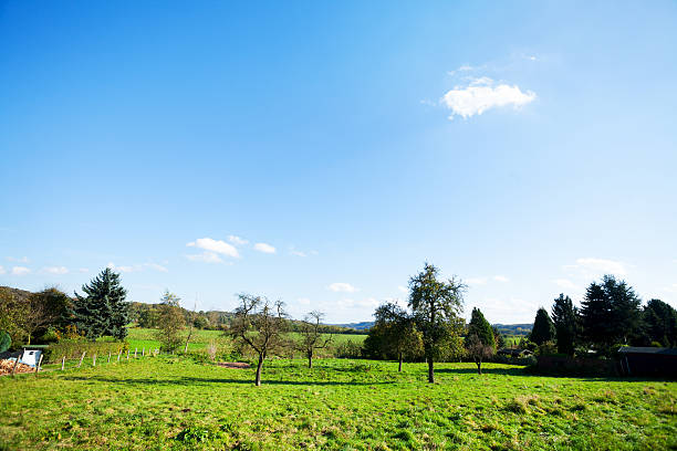 istock Trees on meadows in valley Ruhr 490276110