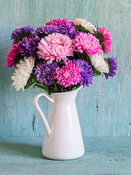 istock flowers asters in white enameled  pitcher 490276916