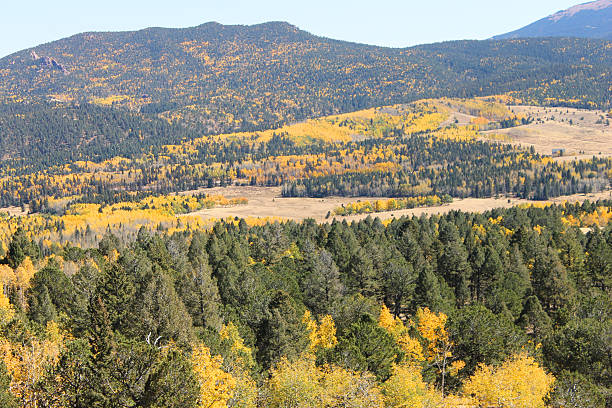 istock Mountain Autumn Beauty 490277668