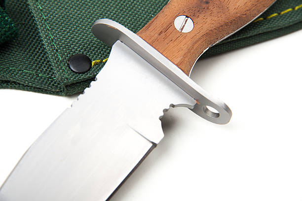 istock hunting knife with wooden handle, isolated 490279358