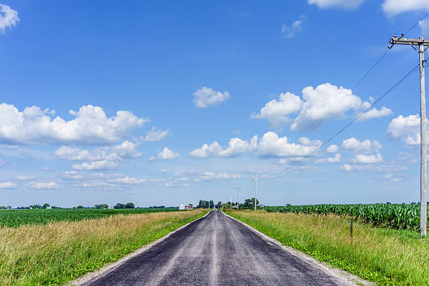 Road across corn country Rural road between large, flat farm fields in north-central Illinois on a sunny afternoon at the end of June country road road corn crop farm stock pictures, royalty-free photos & images