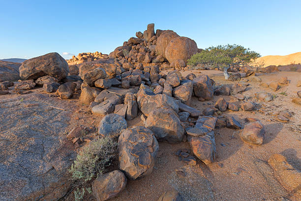rocas grande y una pequeña árbol - richtersveld national park fotografías e imágenes de stock
