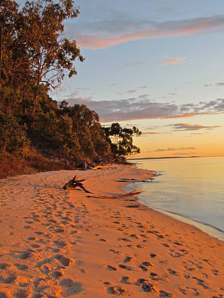 istock Australia Sunset at fraser Island  with the beach 490284232